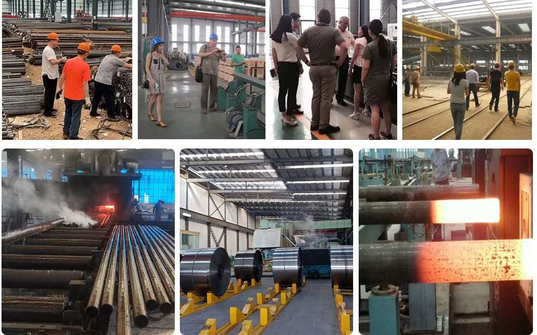 Factory Hot/Cold Rolled Low/High Carbon/Ms Steel Wire Rod SAE 1008 /1006 5.5 6.5 3.0 3.2mm Q195 Q235hot Dipped Gi Wire Nail Stainless Steel Wire Welding Rod